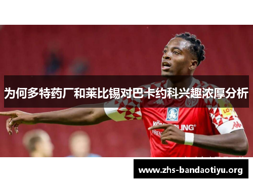 为何多特药厂和莱比锡对巴卡约科兴趣浓厚分析