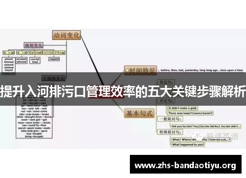 提升入河排污口管理效率的五大关键步骤解析