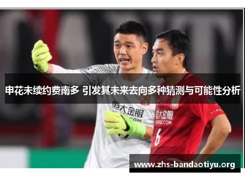 申花未续约费南多 引发其未来去向多种猜测与可能性分析