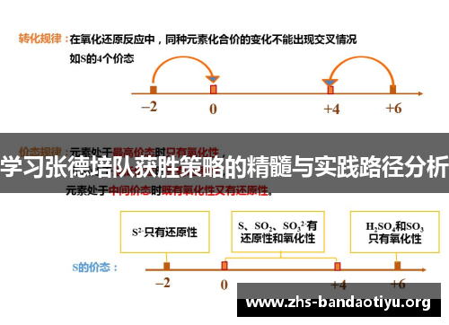 学习张德培队获胜策略的精髓与实践路径分析